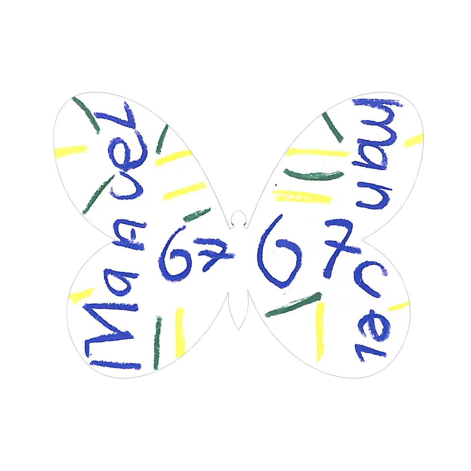 Original Butterfly Image