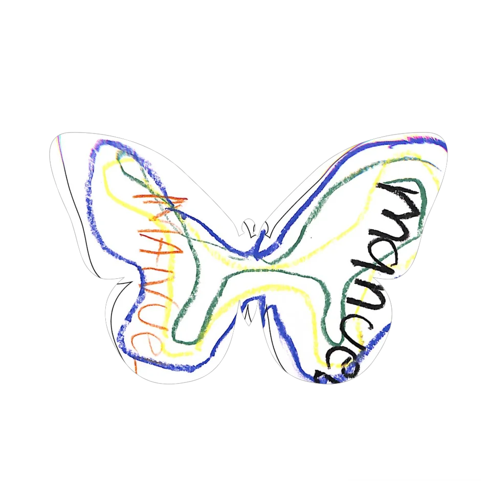 Original Butterfly Image