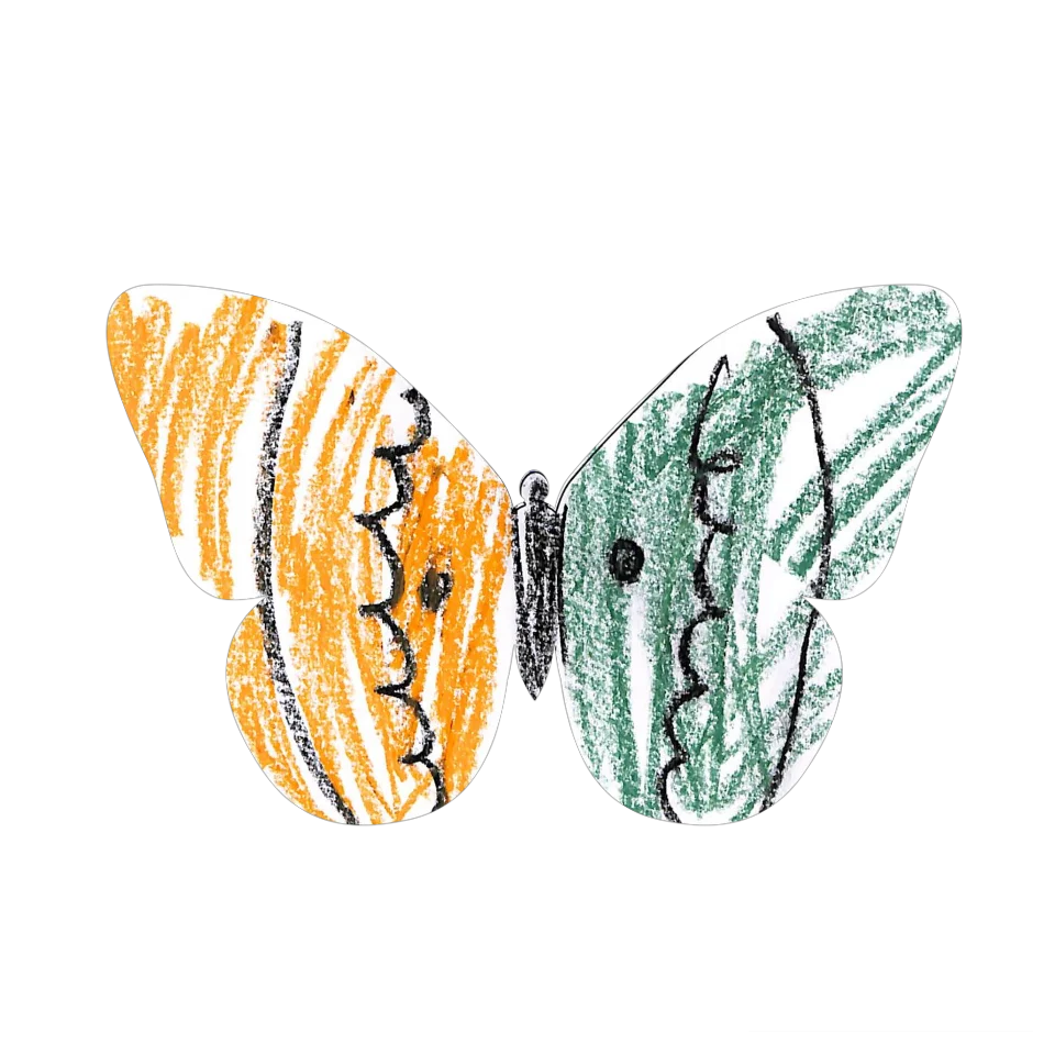 Original Butterfly Image