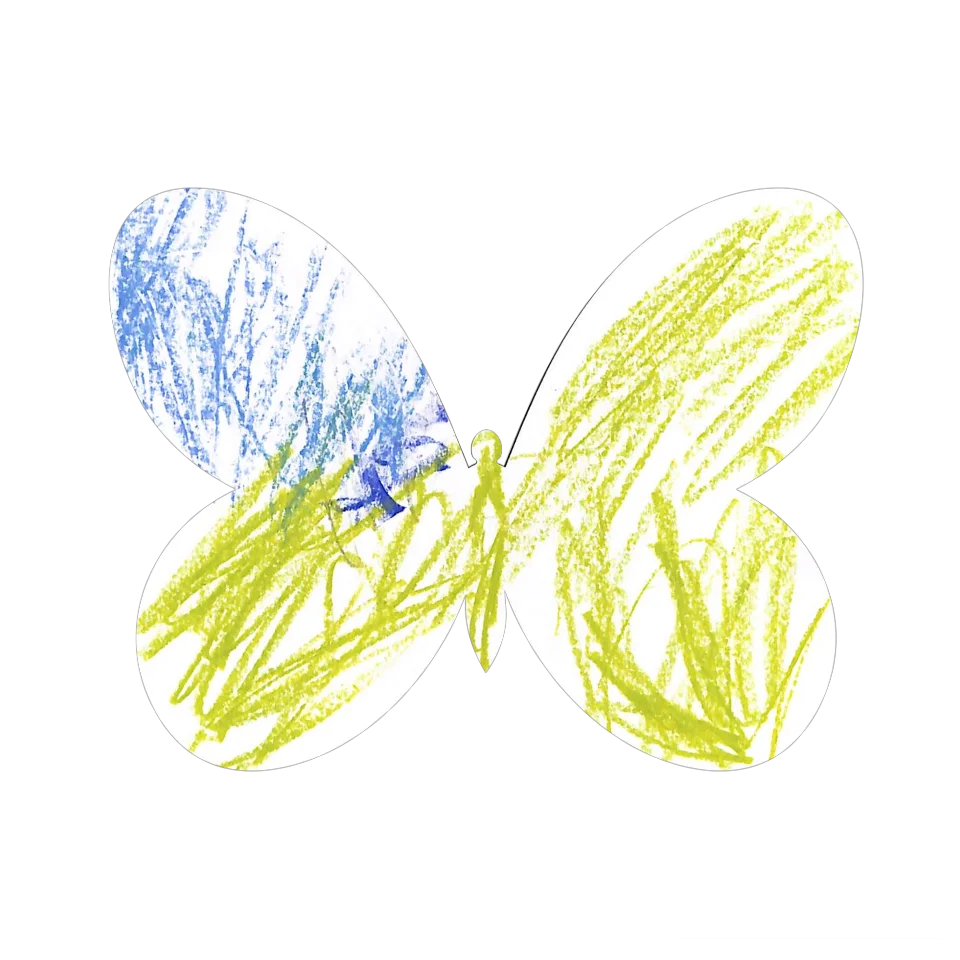 Original Butterfly Image