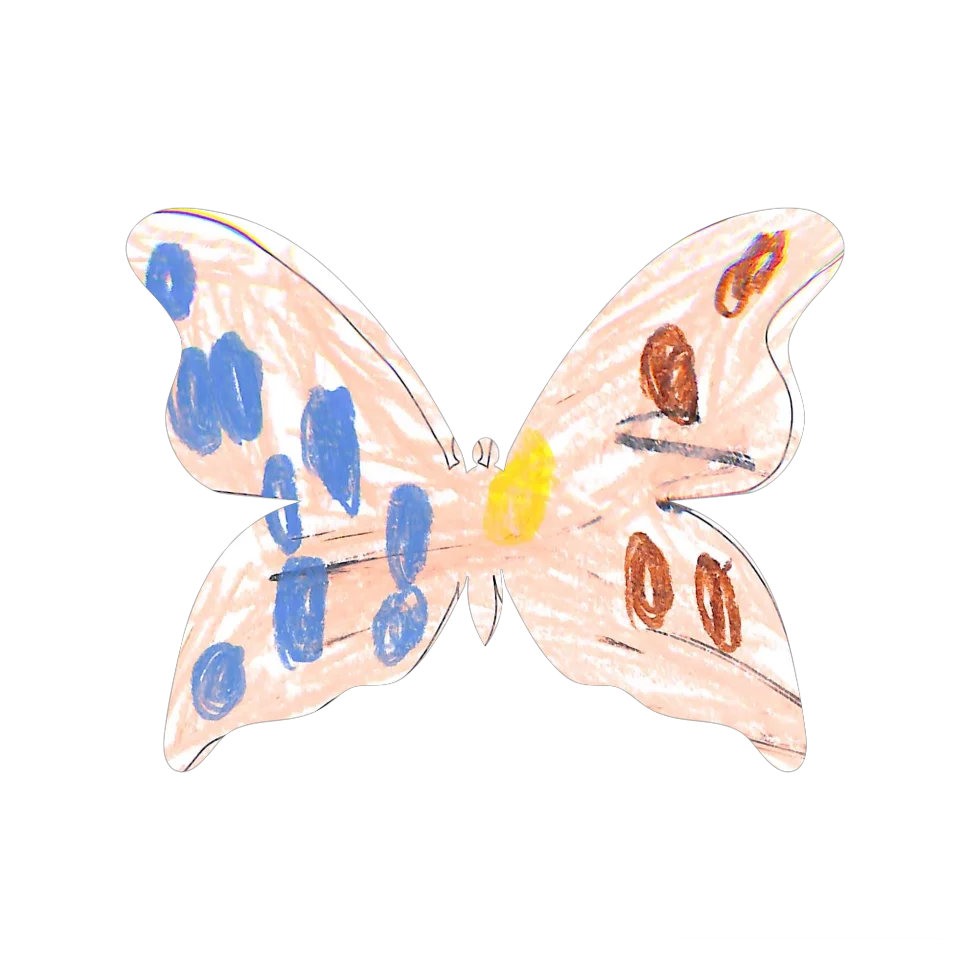 Original Butterfly Image
