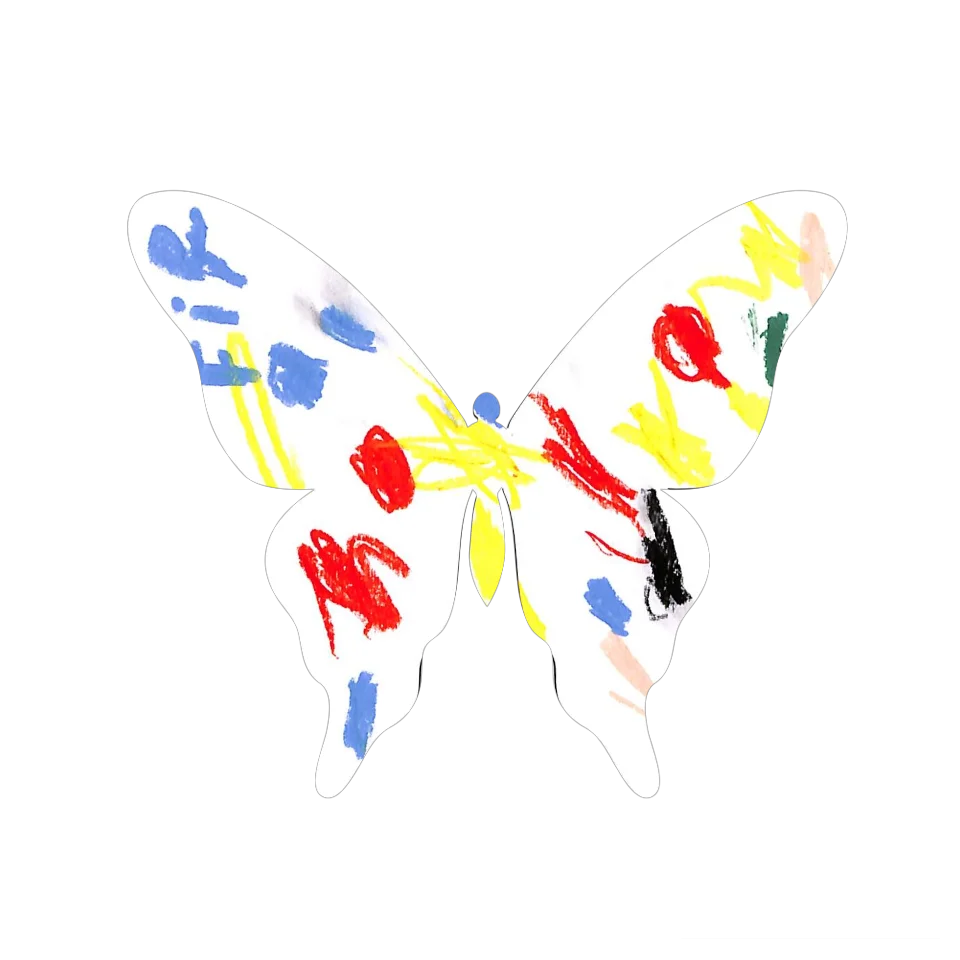 Original Butterfly Image