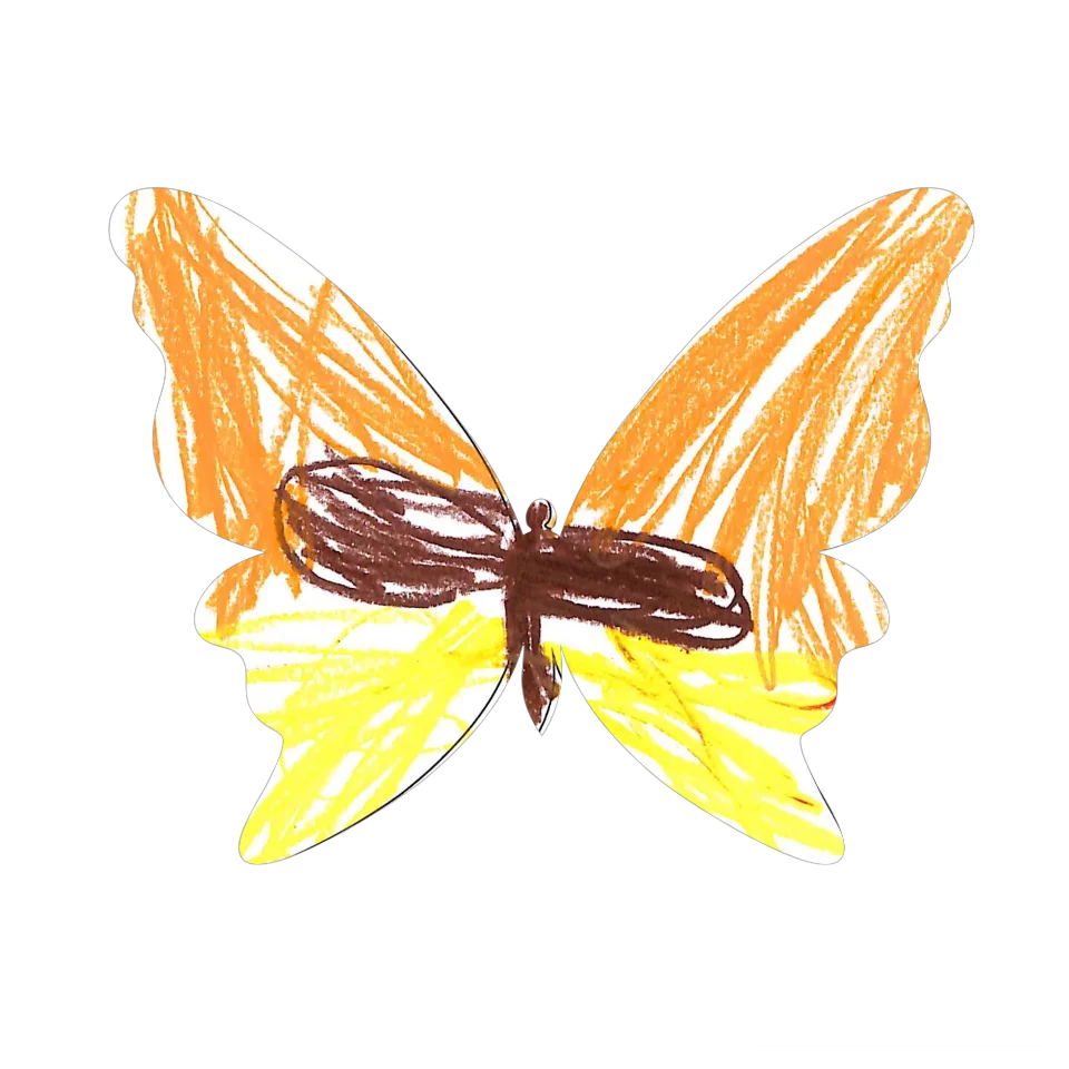 Original Butterfly Image