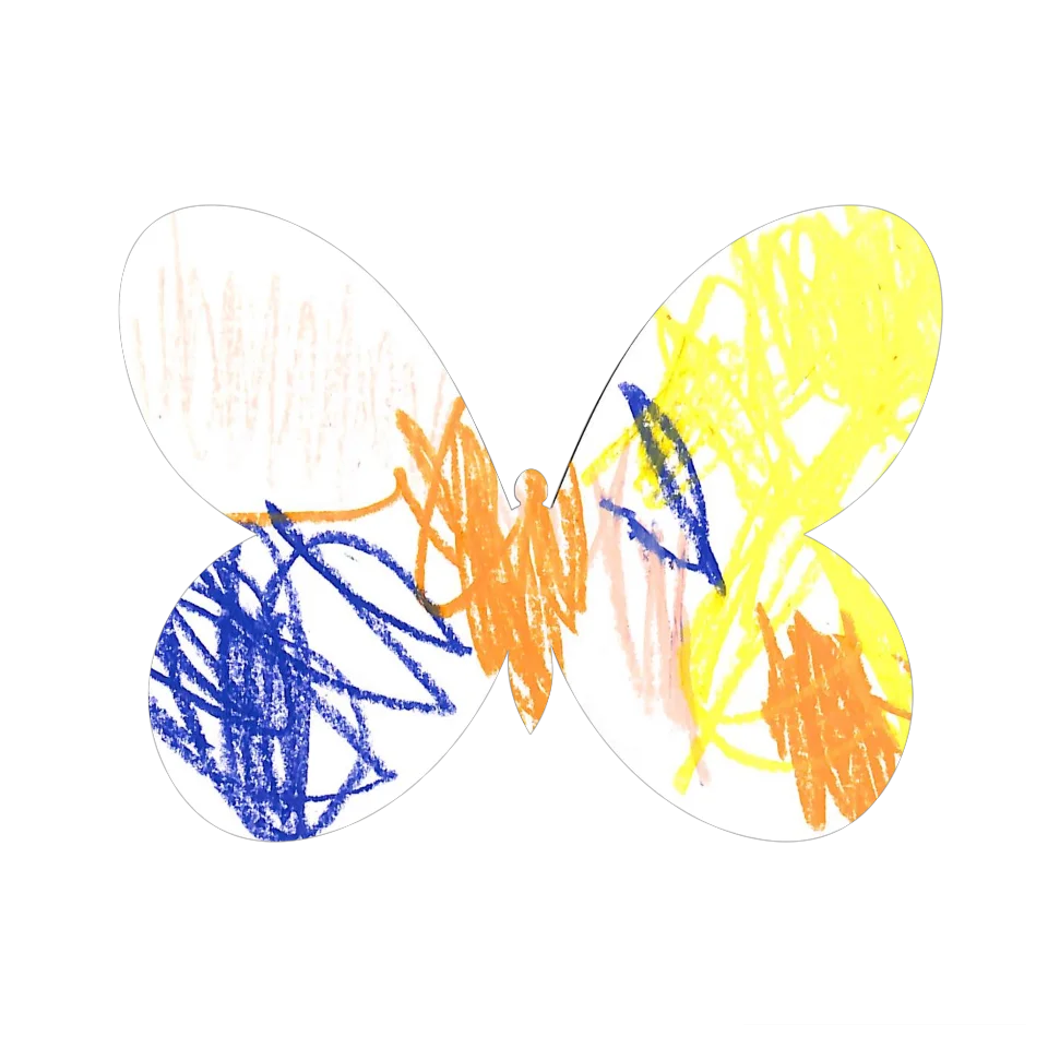 Original Butterfly Image