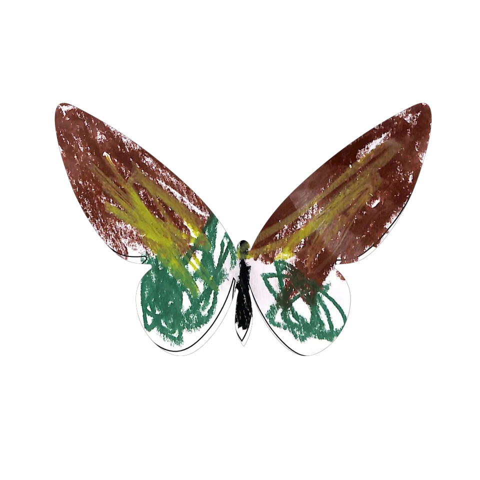 Original Butterfly Image