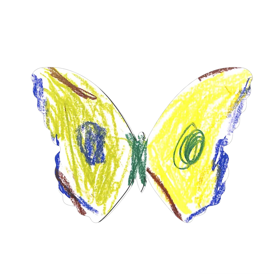 Original Butterfly Image