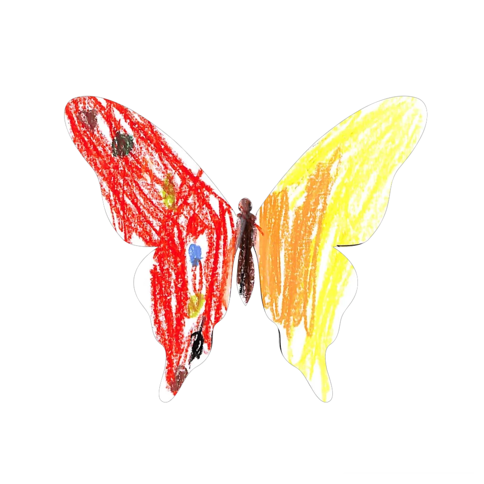 Original Butterfly Image
