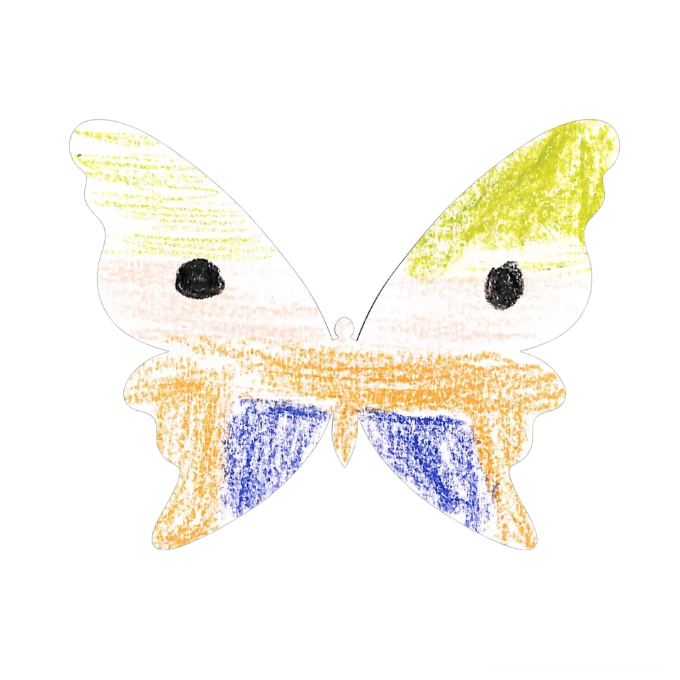 Original Butterfly Image
