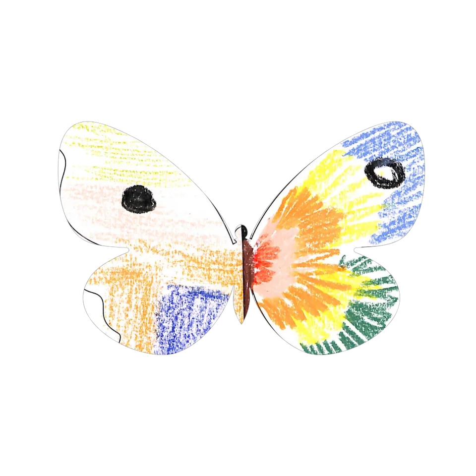 Original Butterfly Image