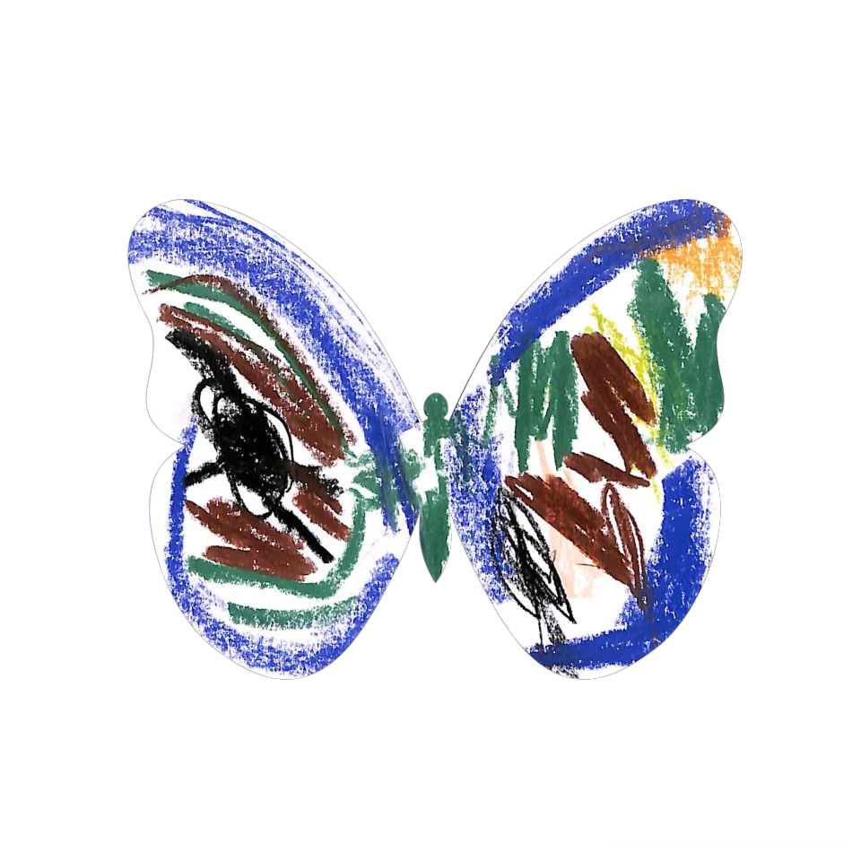 Original Butterfly Image