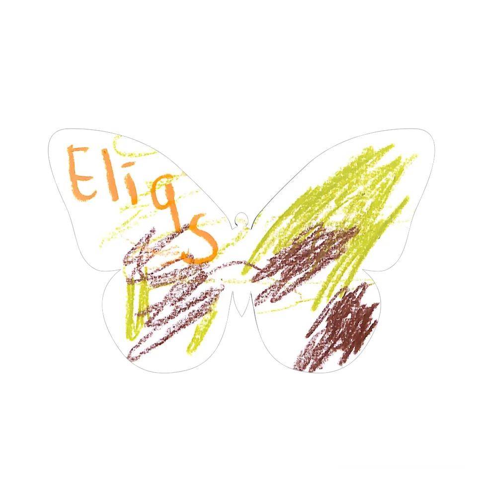 Original Butterfly Image
