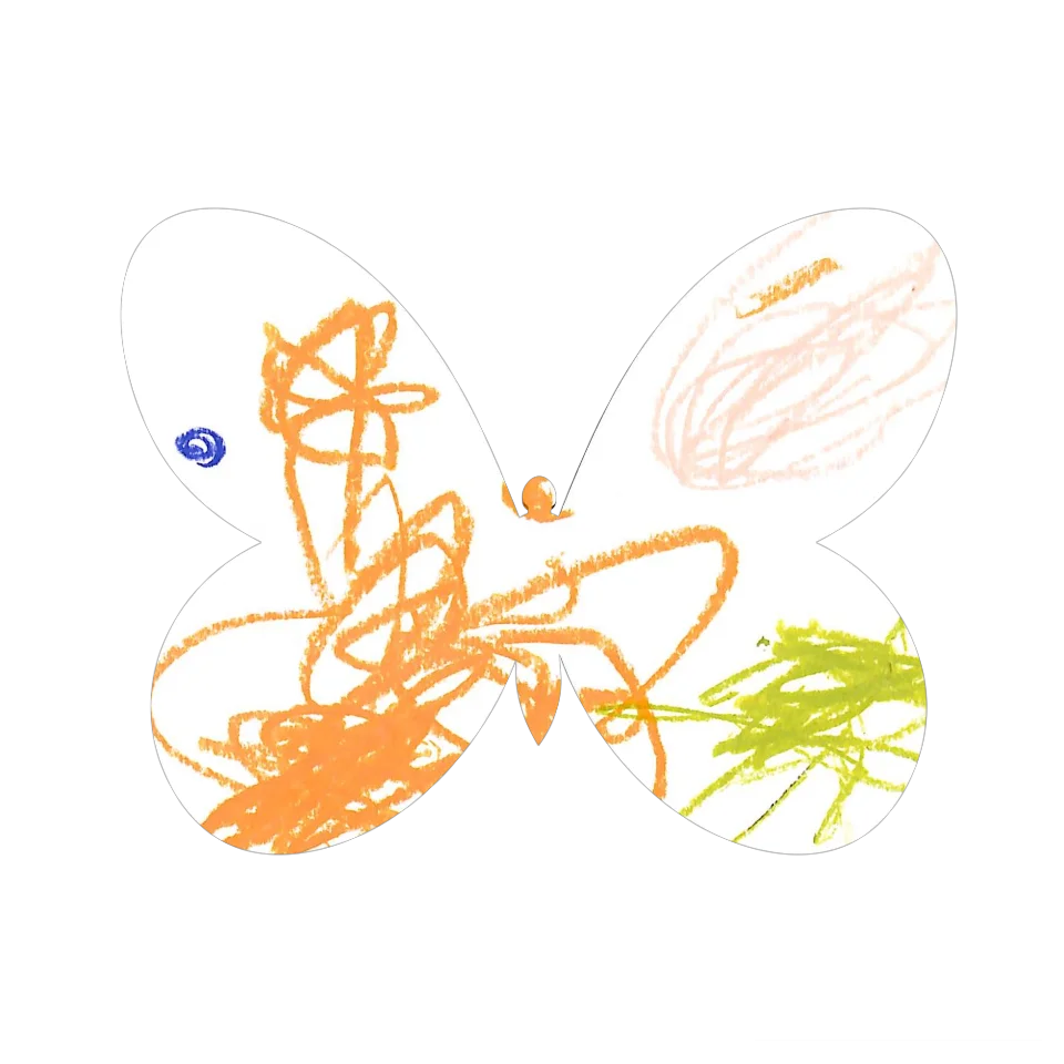 Original Butterfly Image