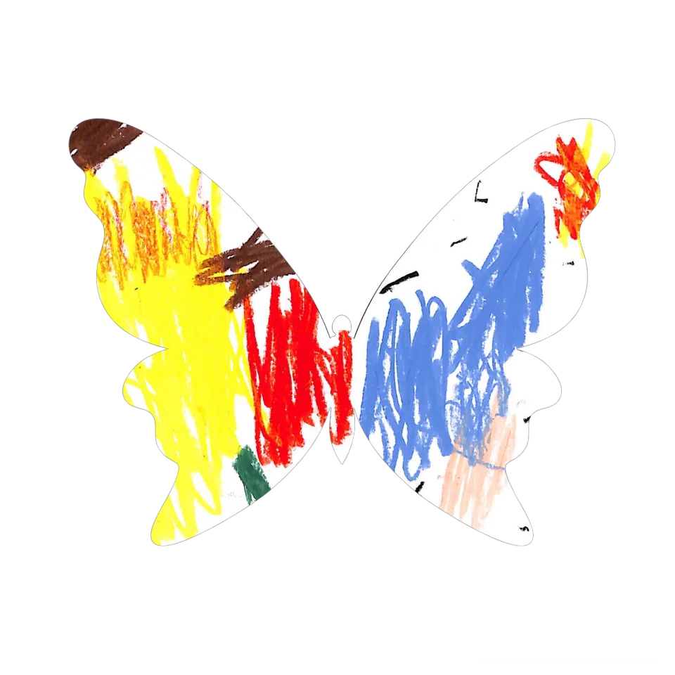 Original Butterfly Image