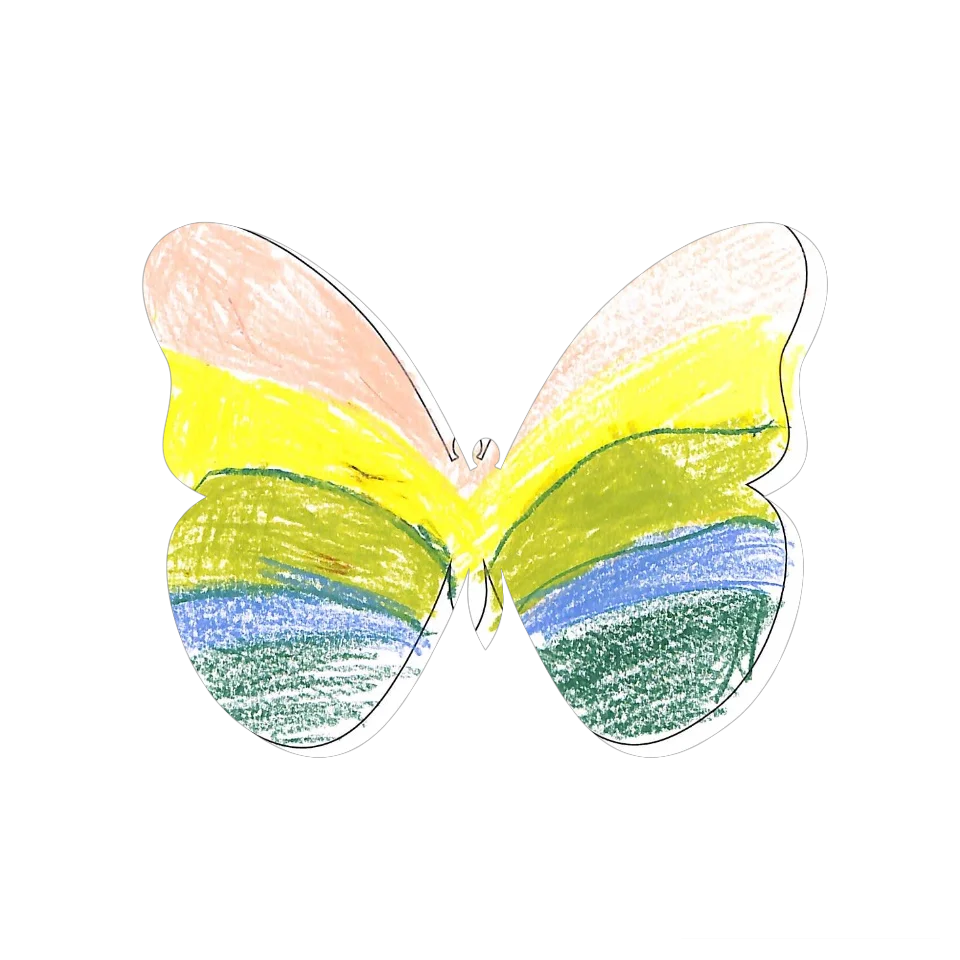 Original Butterfly Image