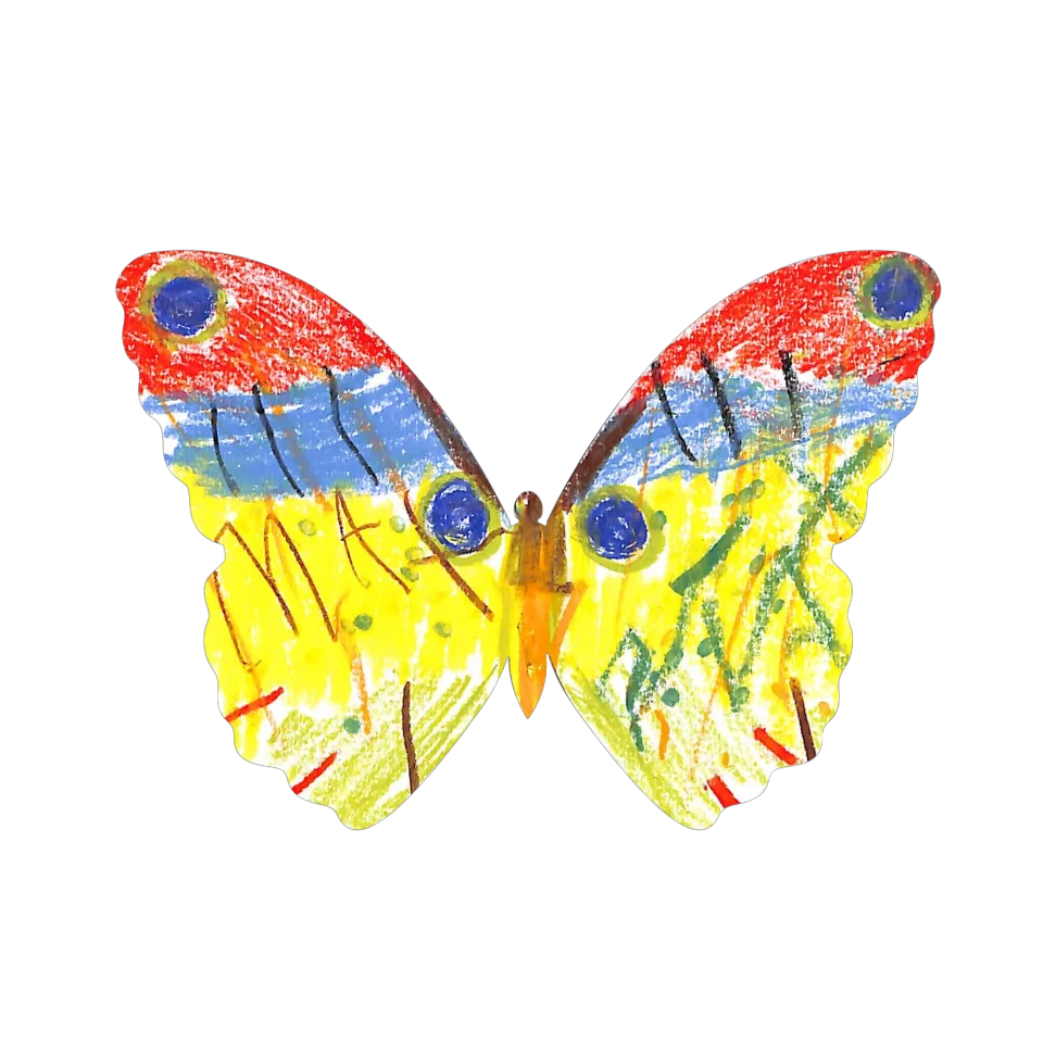 Original Butterfly Image