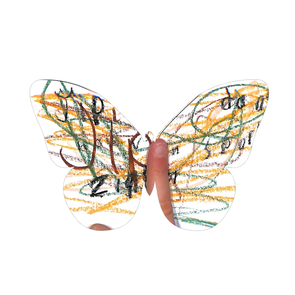 Original Butterfly Image