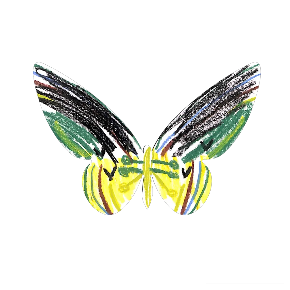 Original Butterfly Image