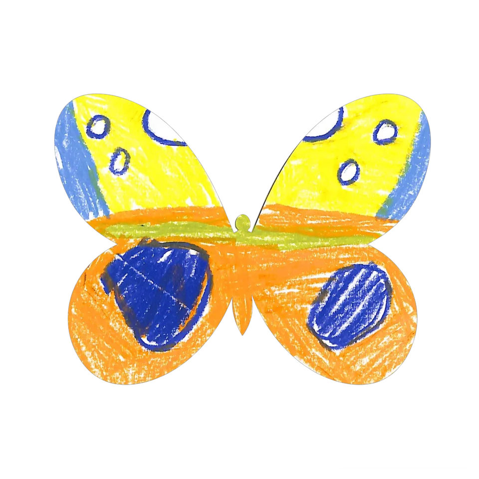 Original Butterfly Image