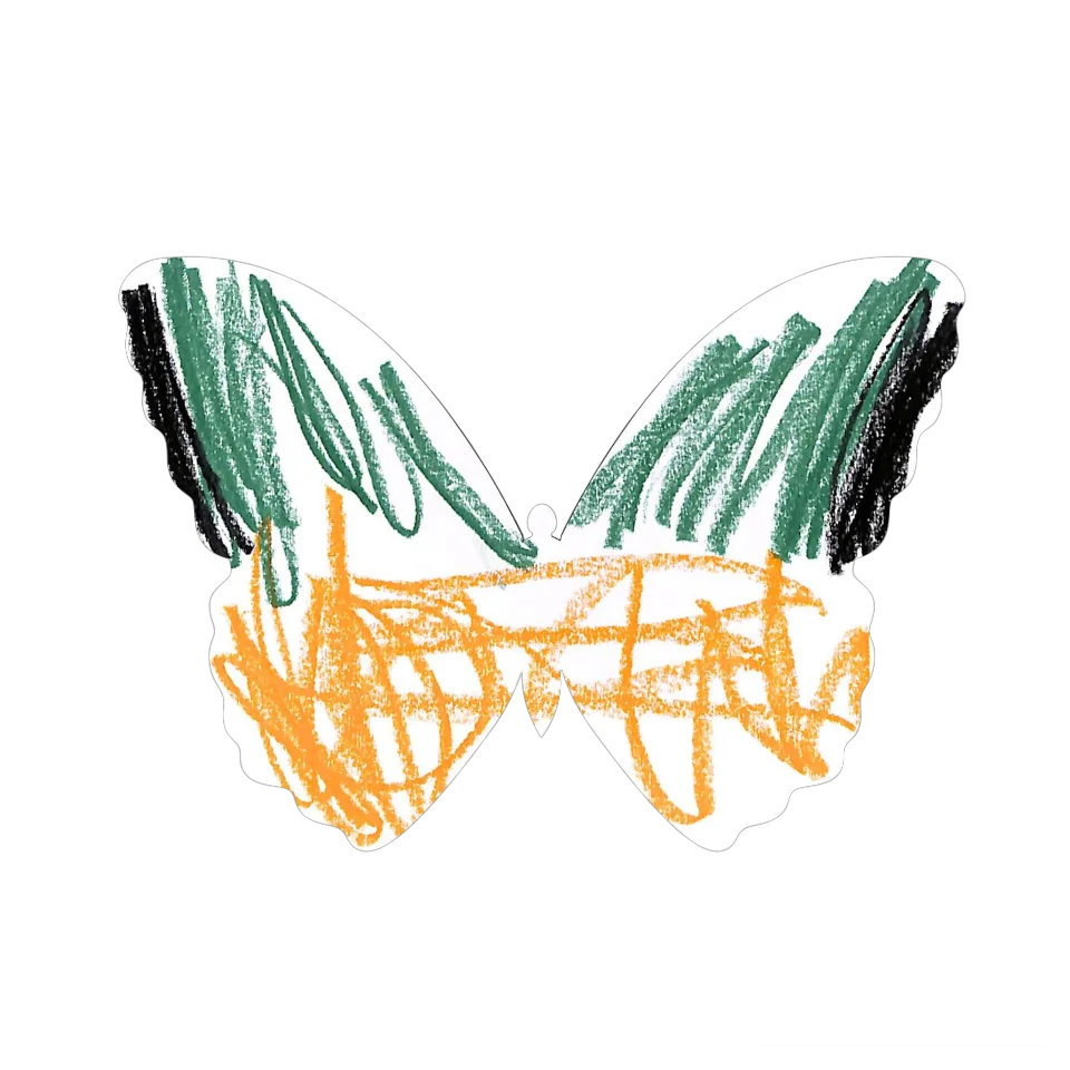 Original Butterfly Image