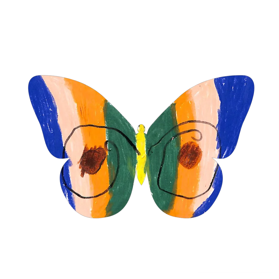 Original Butterfly Image