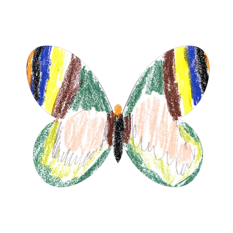 Original Butterfly Image