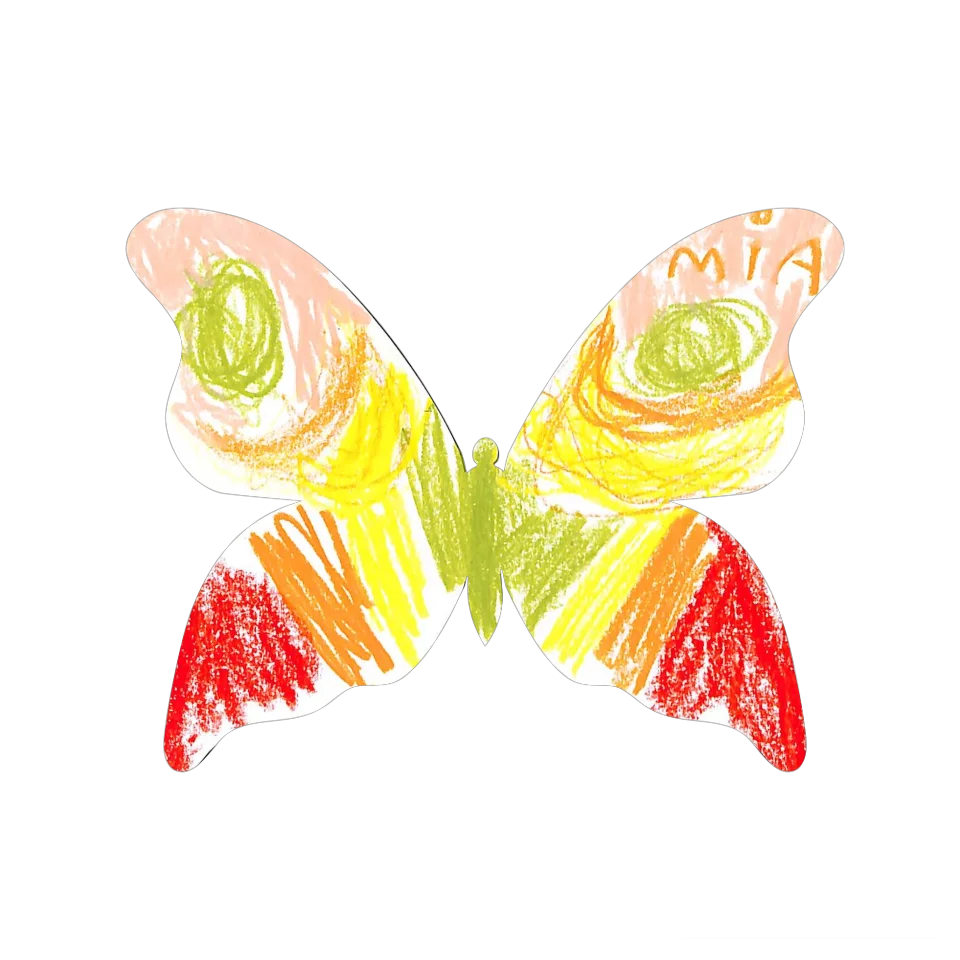 Original Butterfly Image