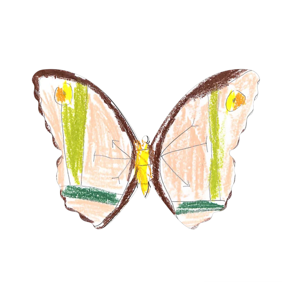 Original Butterfly Image