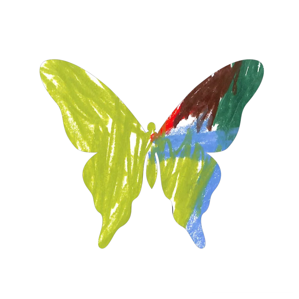 Original Butterfly Image