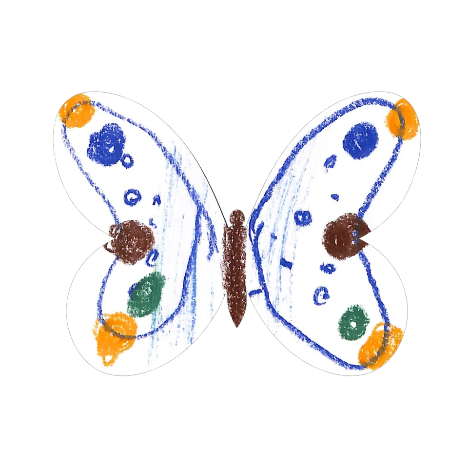 Original Butterfly Image