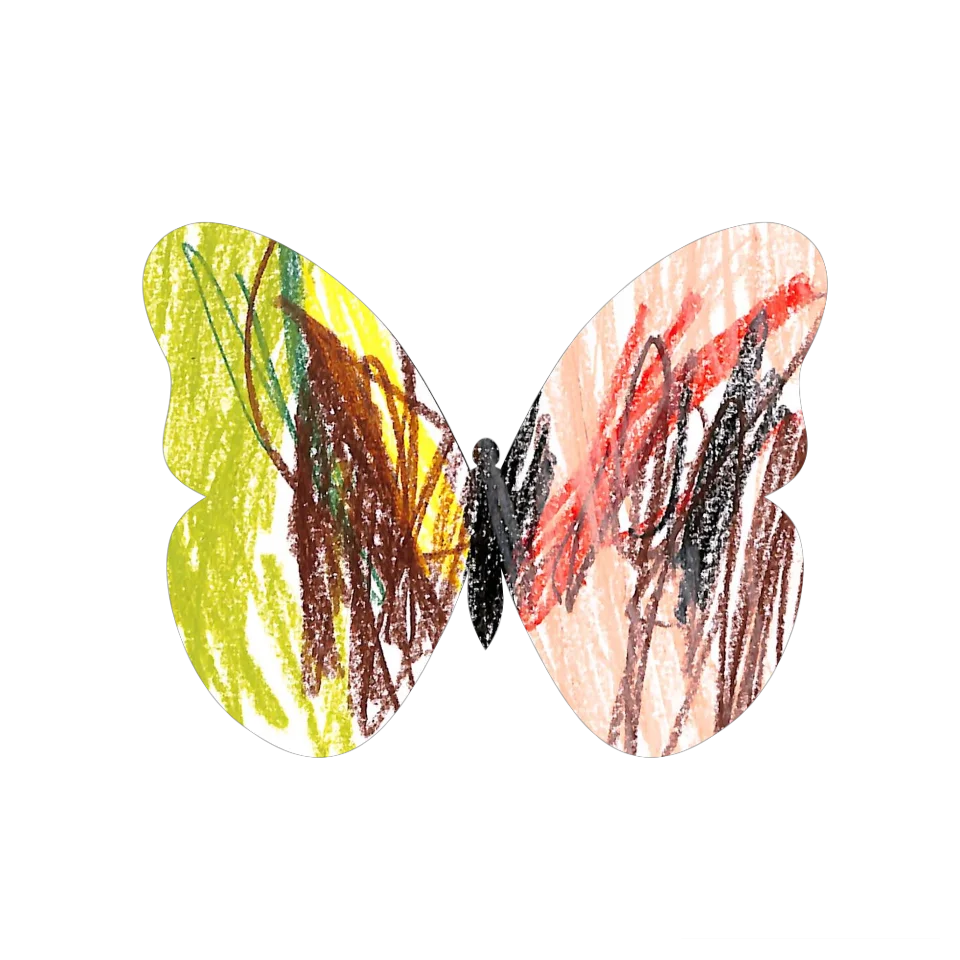Original Butterfly Image