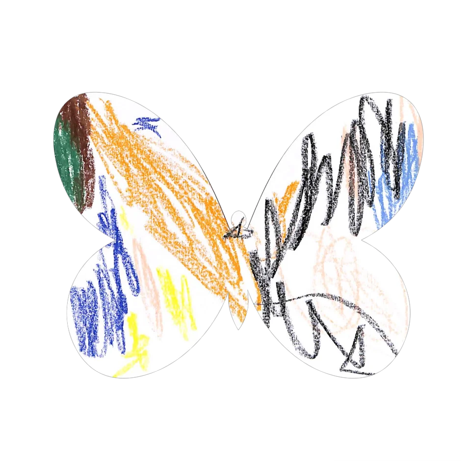 Original Butterfly Image