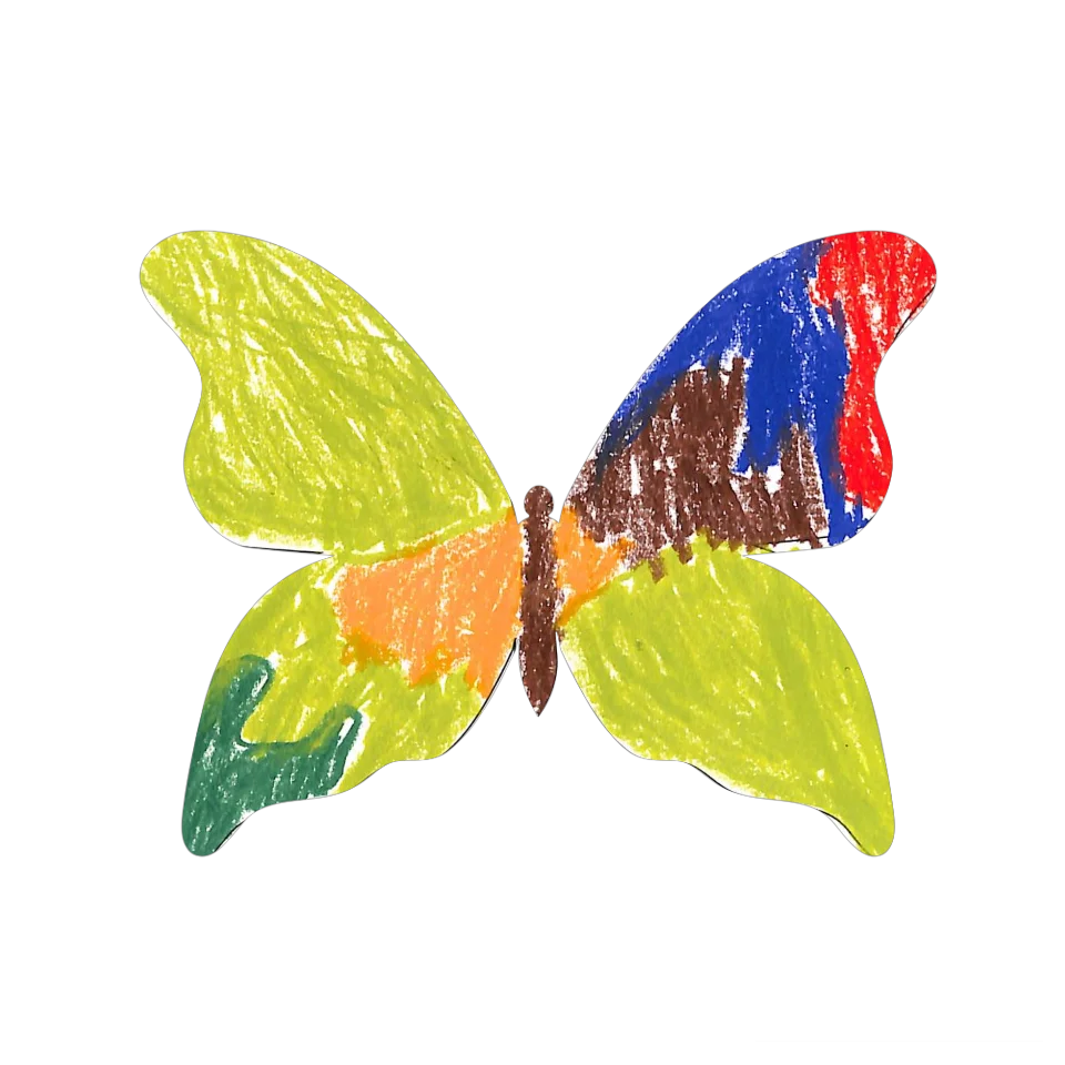 Original Butterfly Image
