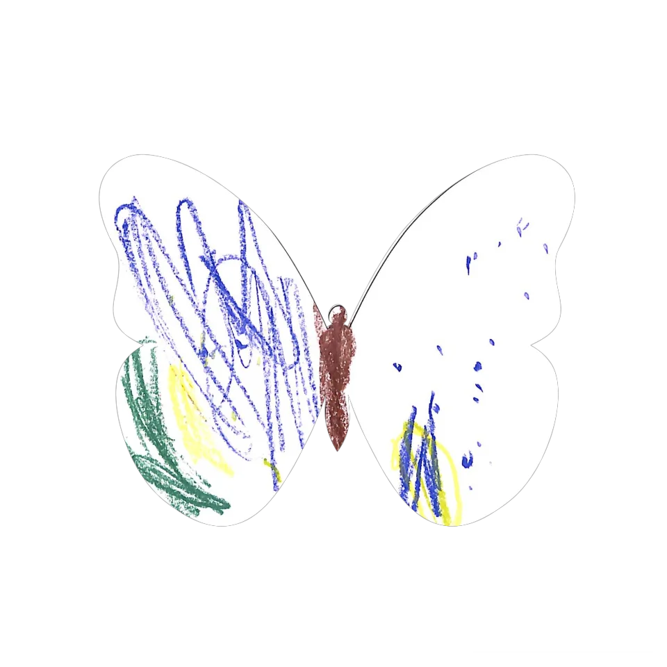 Original Butterfly Image