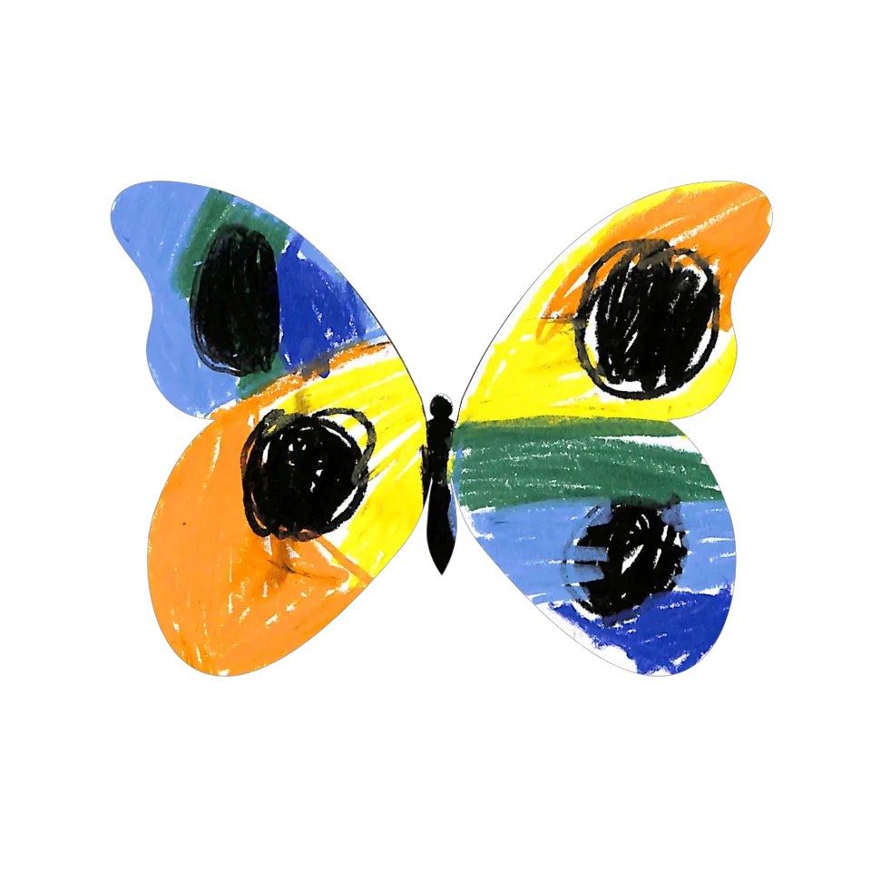 Original Butterfly Image