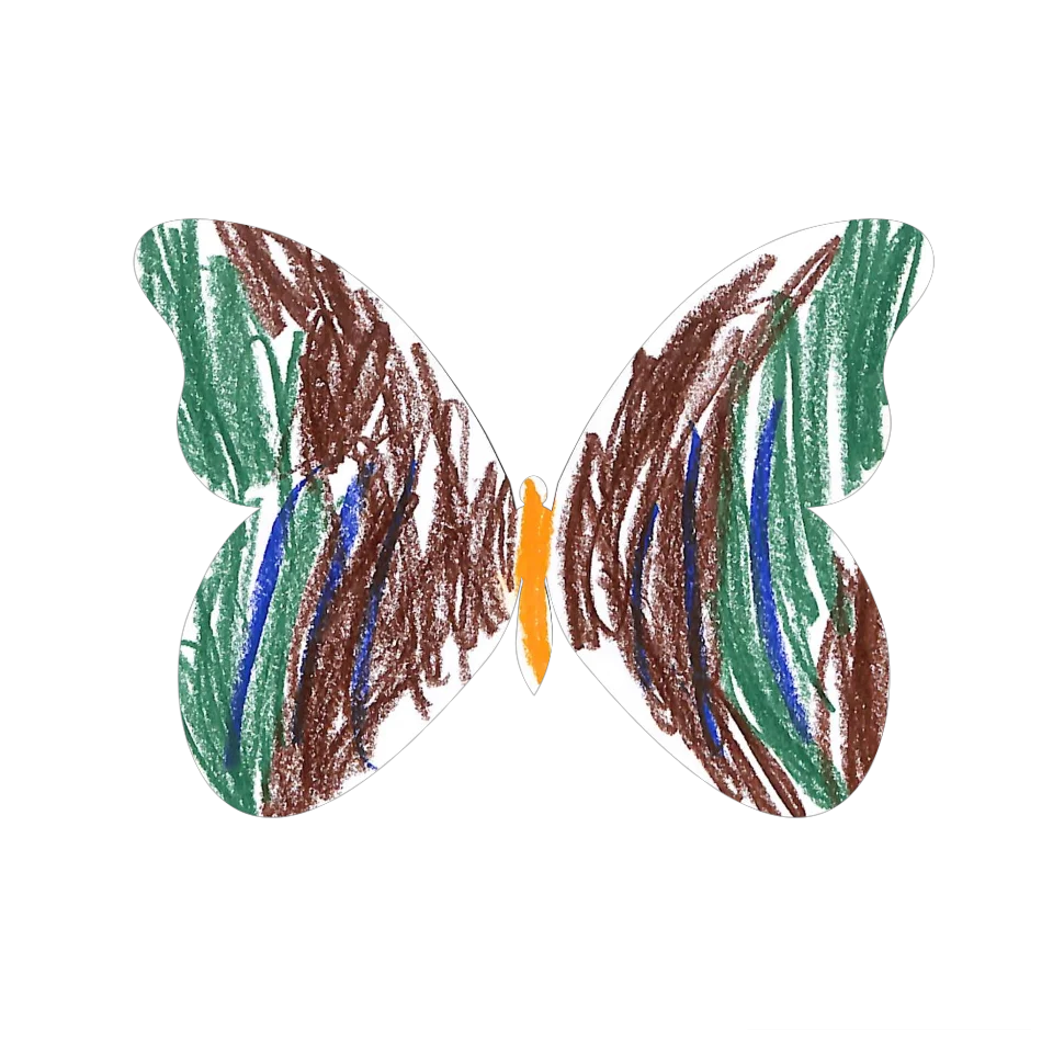 Original Butterfly Image