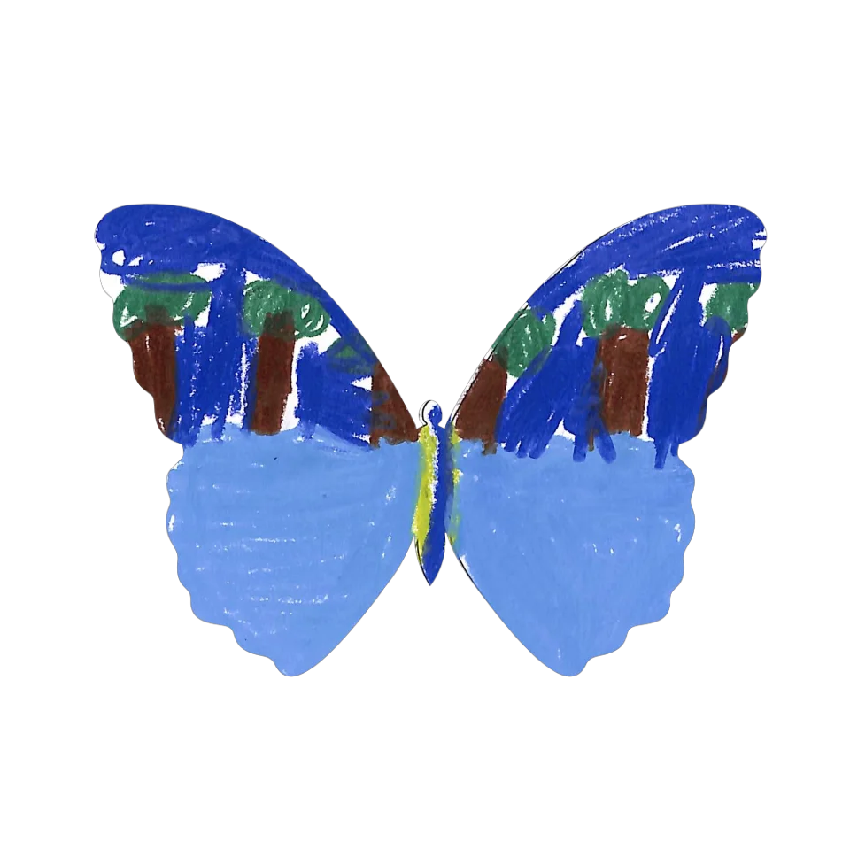 Original Butterfly Image