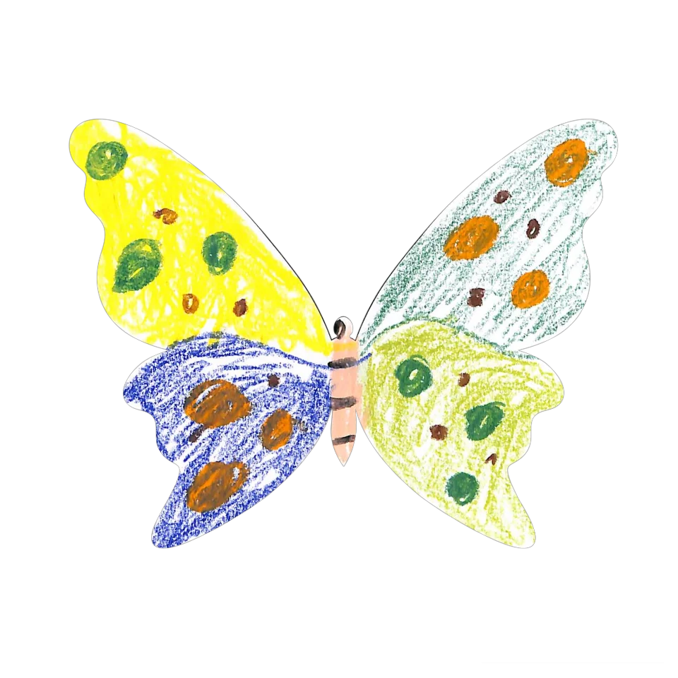 Original Butterfly Image