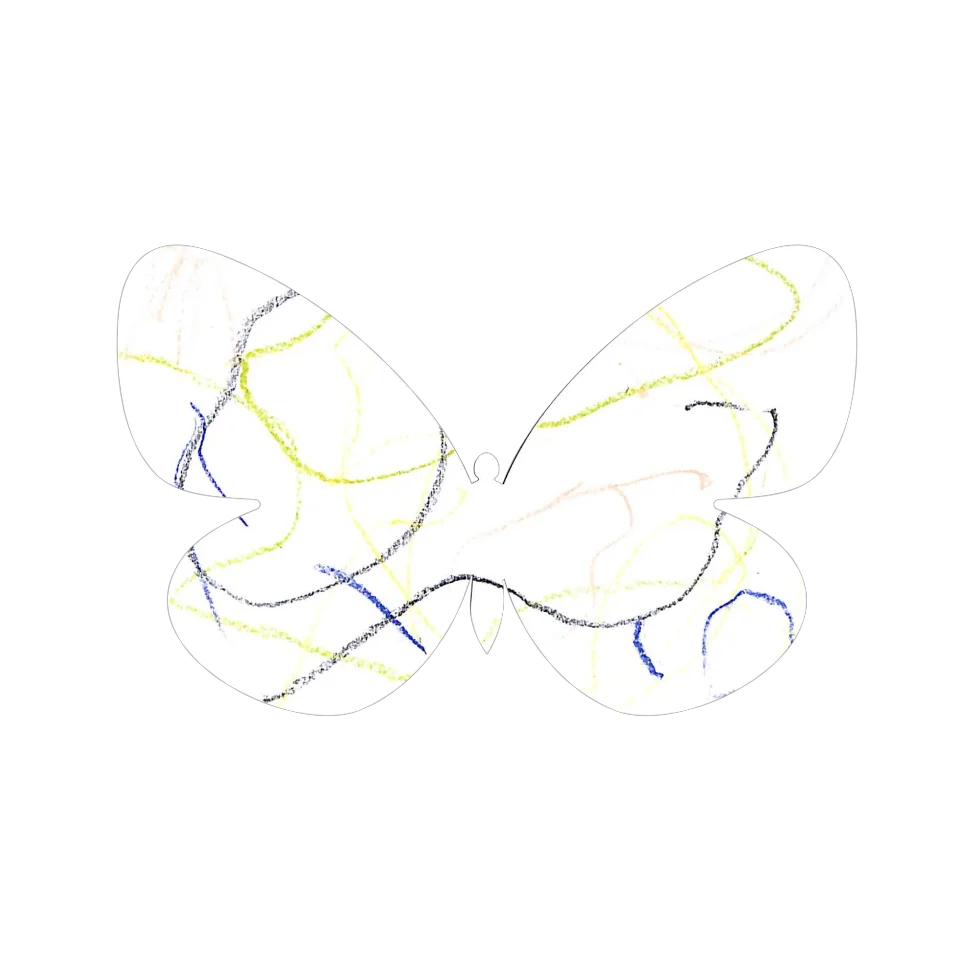 Original Butterfly Image