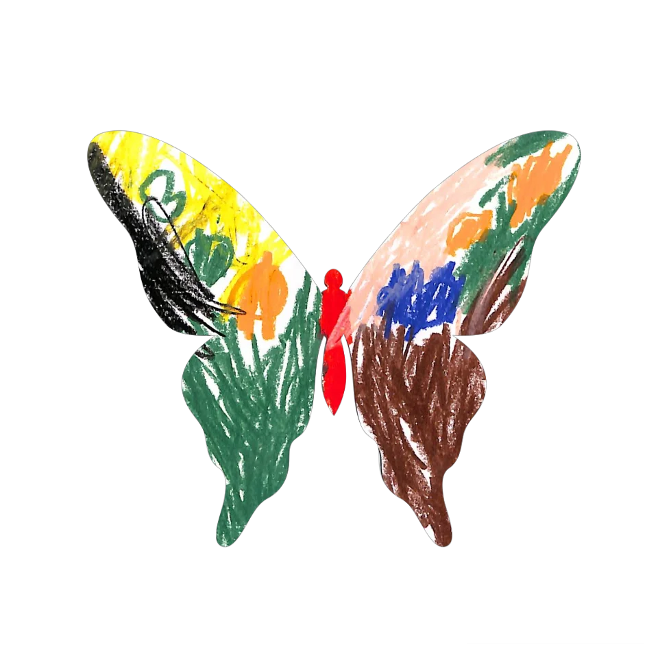 Original Butterfly Image