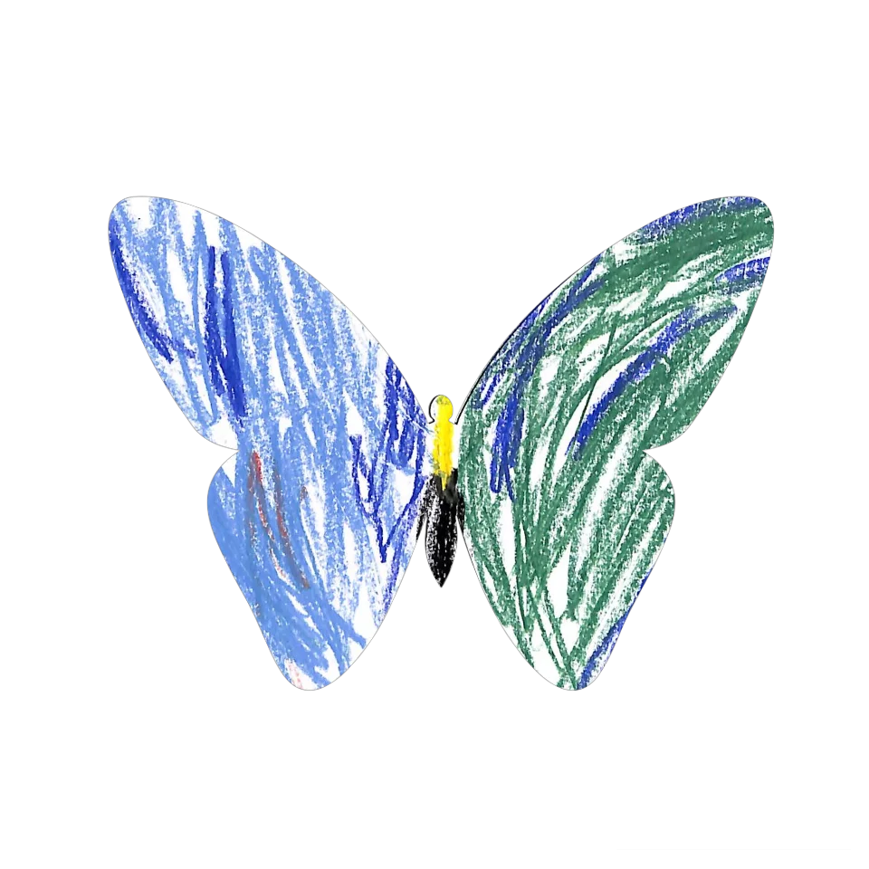Original Butterfly Image