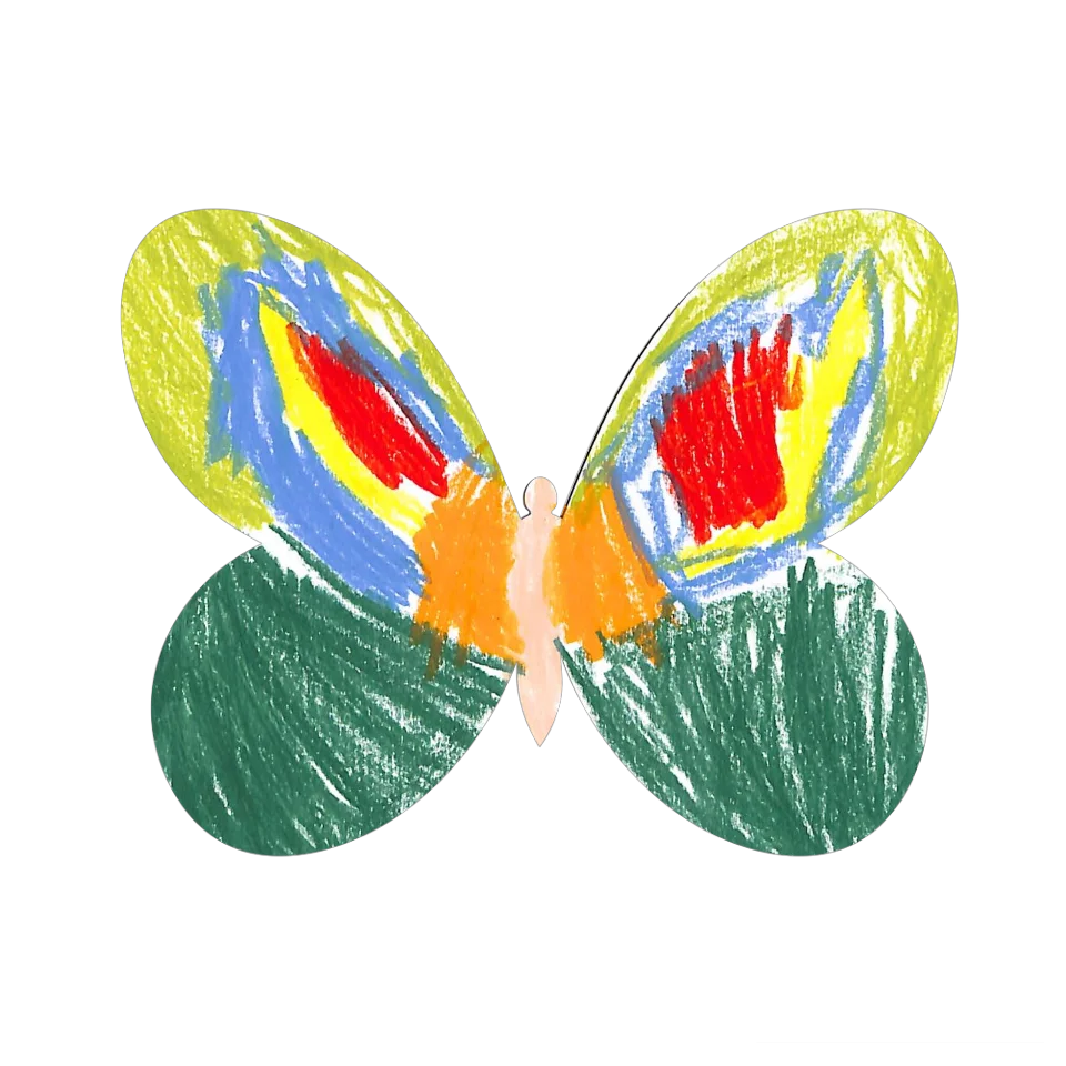 Original Butterfly Image