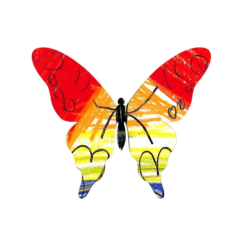 Original Butterfly Image