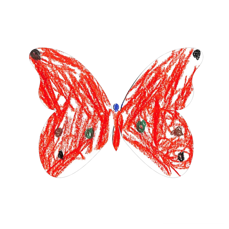Original Butterfly Image