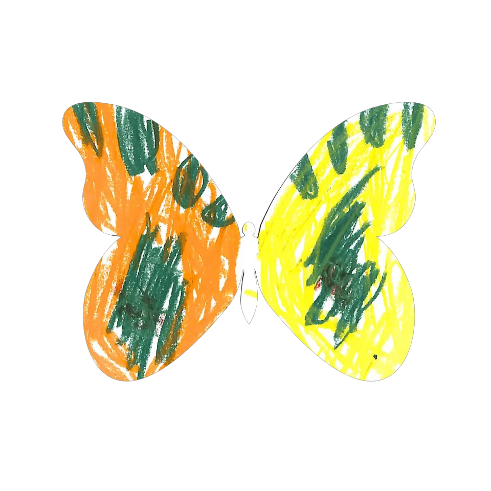 Original Butterfly Image