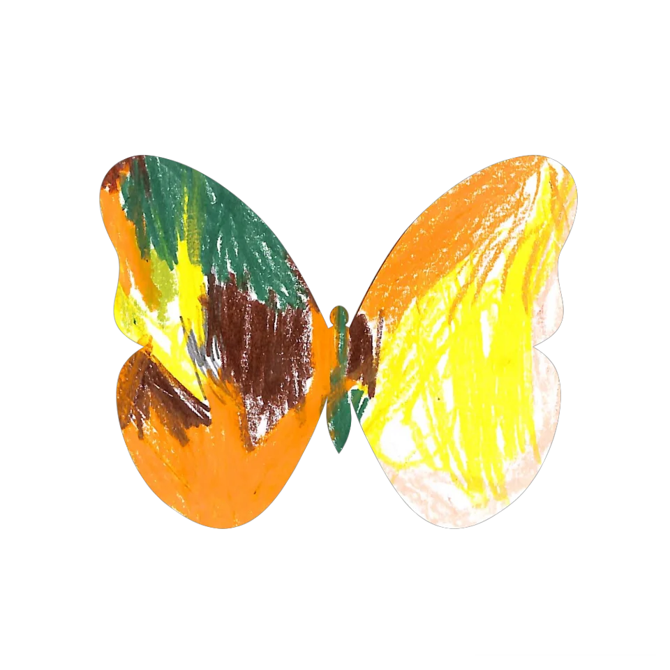 Original Butterfly Image
