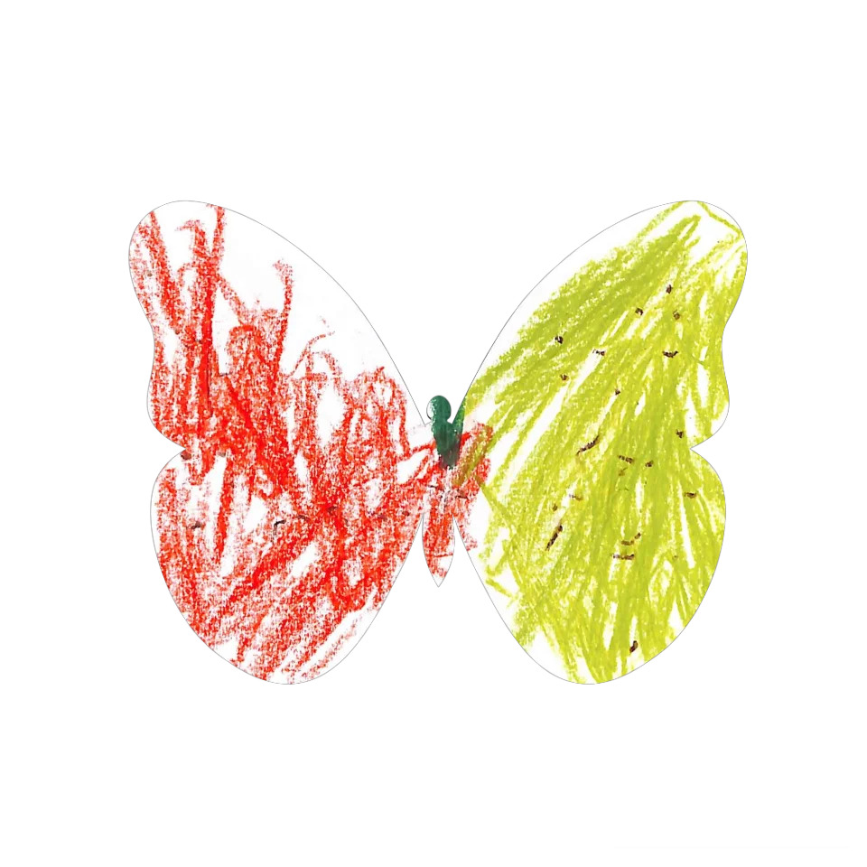 Original Butterfly Image