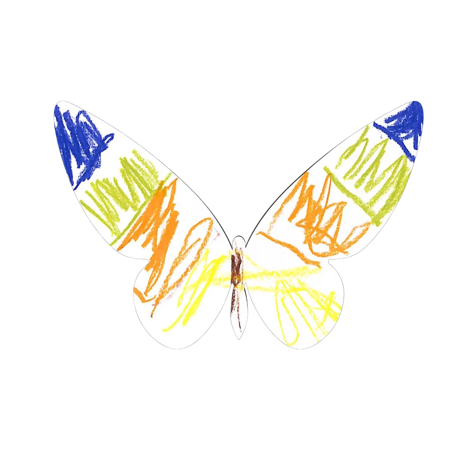 Original Butterfly Image