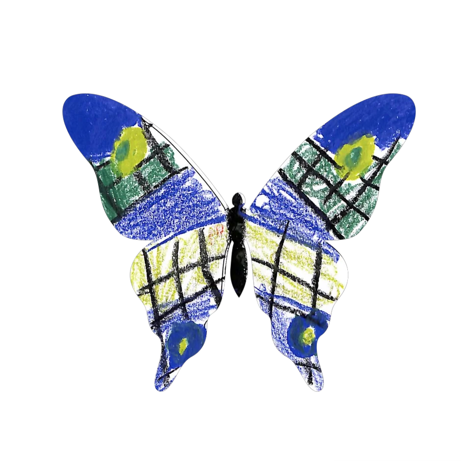 Original Butterfly Image
