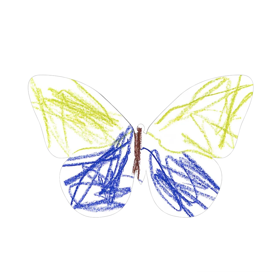 Original Butterfly Image