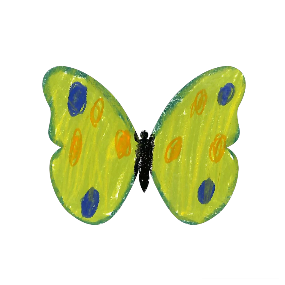Original Butterfly Image